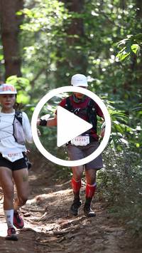 BIB:  <button type="button" onclick="openModal(26569526)" class="btn btn-primary btn-sm float-right" data-toggle="modal" data-target=".modal-high-quality">
                <i class="fa fa-download"></i> Download
                </button>